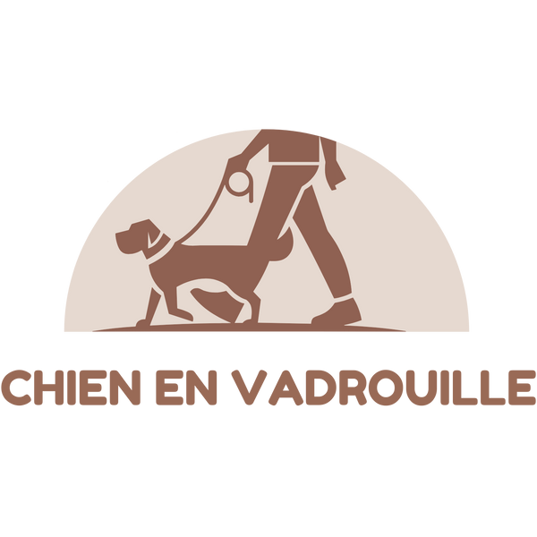 Chien en vadrouille