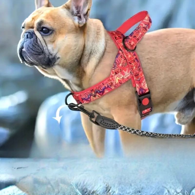 Harnais pour Chien - DogSafeHarness™ - Rouge - Chien en vadrouille