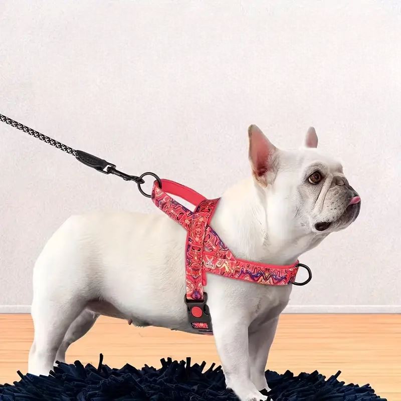 Harnais pour Chien - DogSafeHarness™ - Rouge - Chien en vadrouille