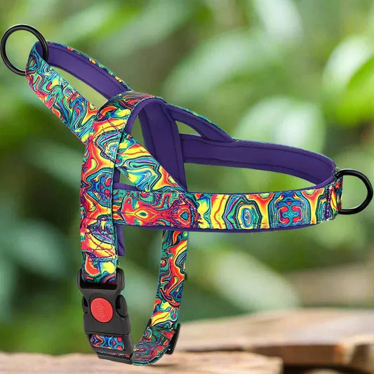 Harnais pour Chien - DogSafeHarness™ - Violet - Chien en vadrouille