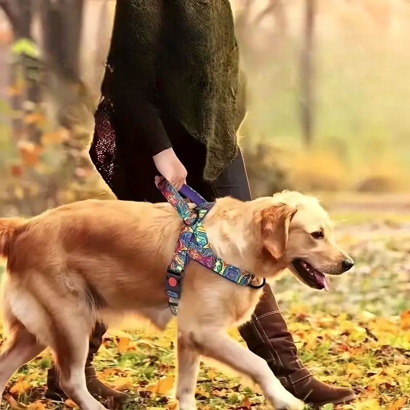 Harnais pour Chien - DogSafeHarness™ - Violet - Chien en vadrouille