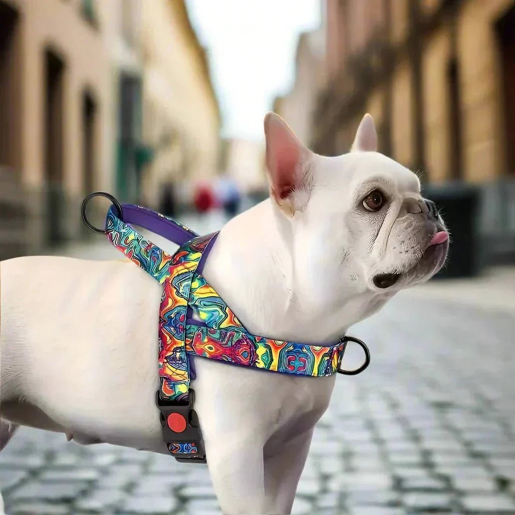 Harnais pour Chien - DogSafeHarness™ - Violet - Chien en vadrouille