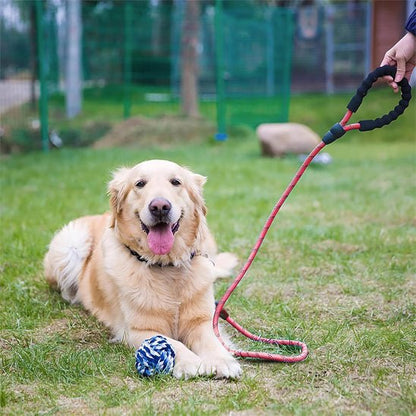 Laisse pour chien |Ergolaisse - Chien en vadrouille