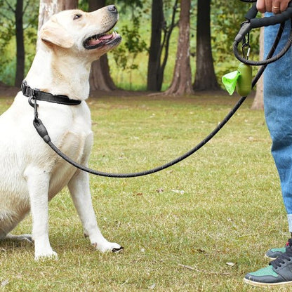 Laisse pour chien |Ergolaisse - Chien en vadrouille