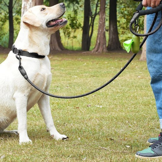 Laisse pour chien |Ergolaisse - Chien en vadrouille