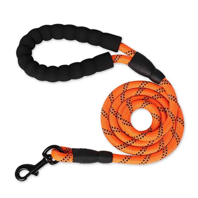 Laisse pour chien |Ergolaisse - Chien en vadrouille