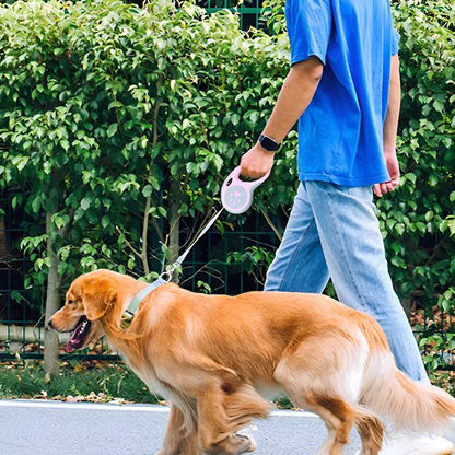 Laisse pour chien | Rétractable - Chien en vadrouille
