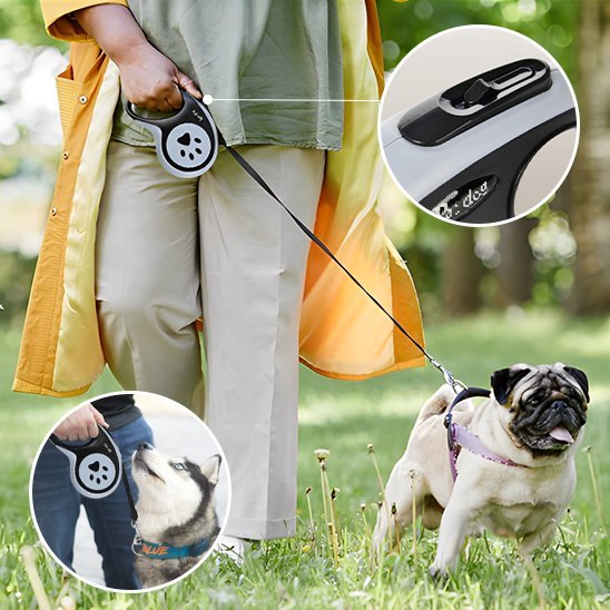 Laisse pour chien | Rétractable - Chien en vadrouille