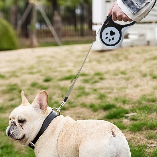 Laisse pour chien | Rétractable - Chien en vadrouille