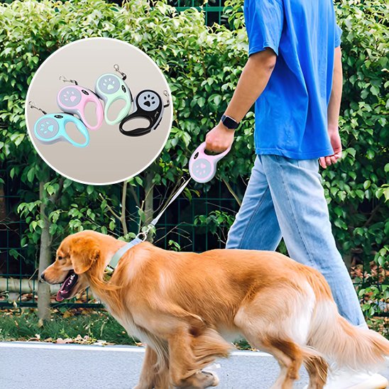 Laisse pour chien | Rétractable - Chien en vadrouille