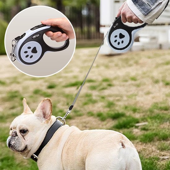 Laisse pour chien | Rétractable - Chien en vadrouille