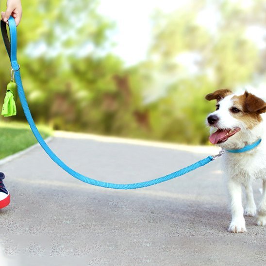 Laisse pour chien | RobuControl - Chien en vadrouille