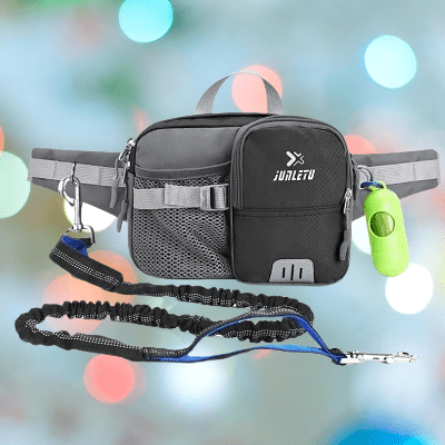 Laisse pour Chien - WaistBag™ - Gris - Chien en vadrouille