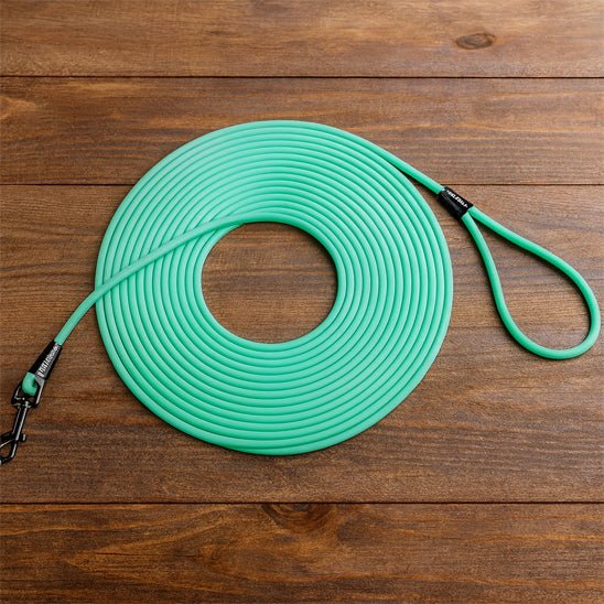 Longe pour chien | Extensible 10m - Chien en vadrouille