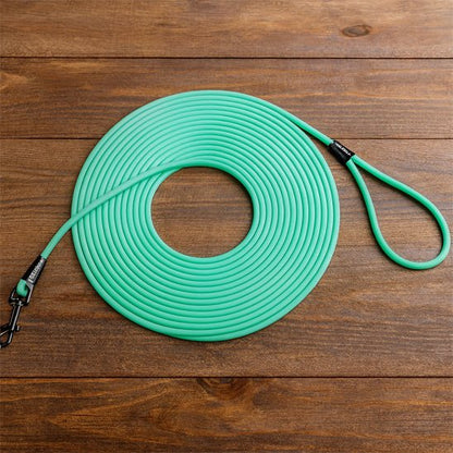 Longe pour chien | Extensible 10m - Chien en vadrouille