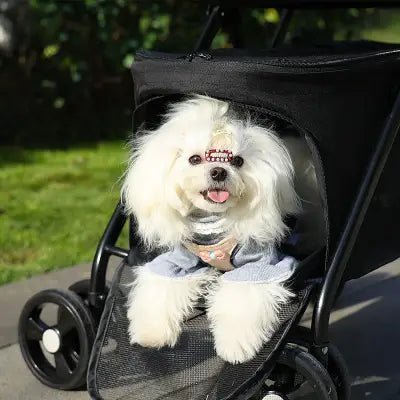 Poussette pour Chien - PetStroller™ - Noir - Chien en vadrouille