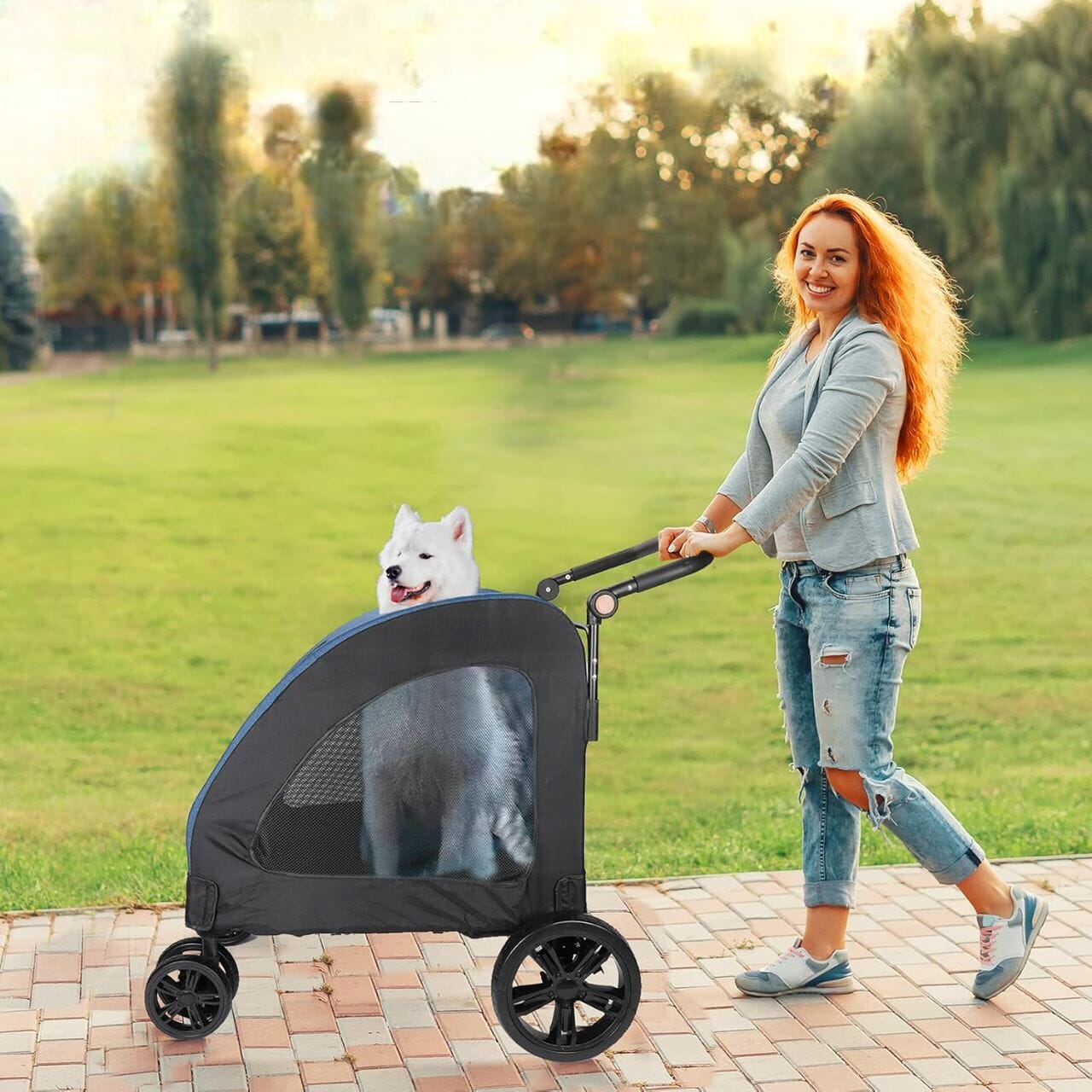 Poussette pour Chien - StrollyPet™ - Bleu - Chien en vadrouille
