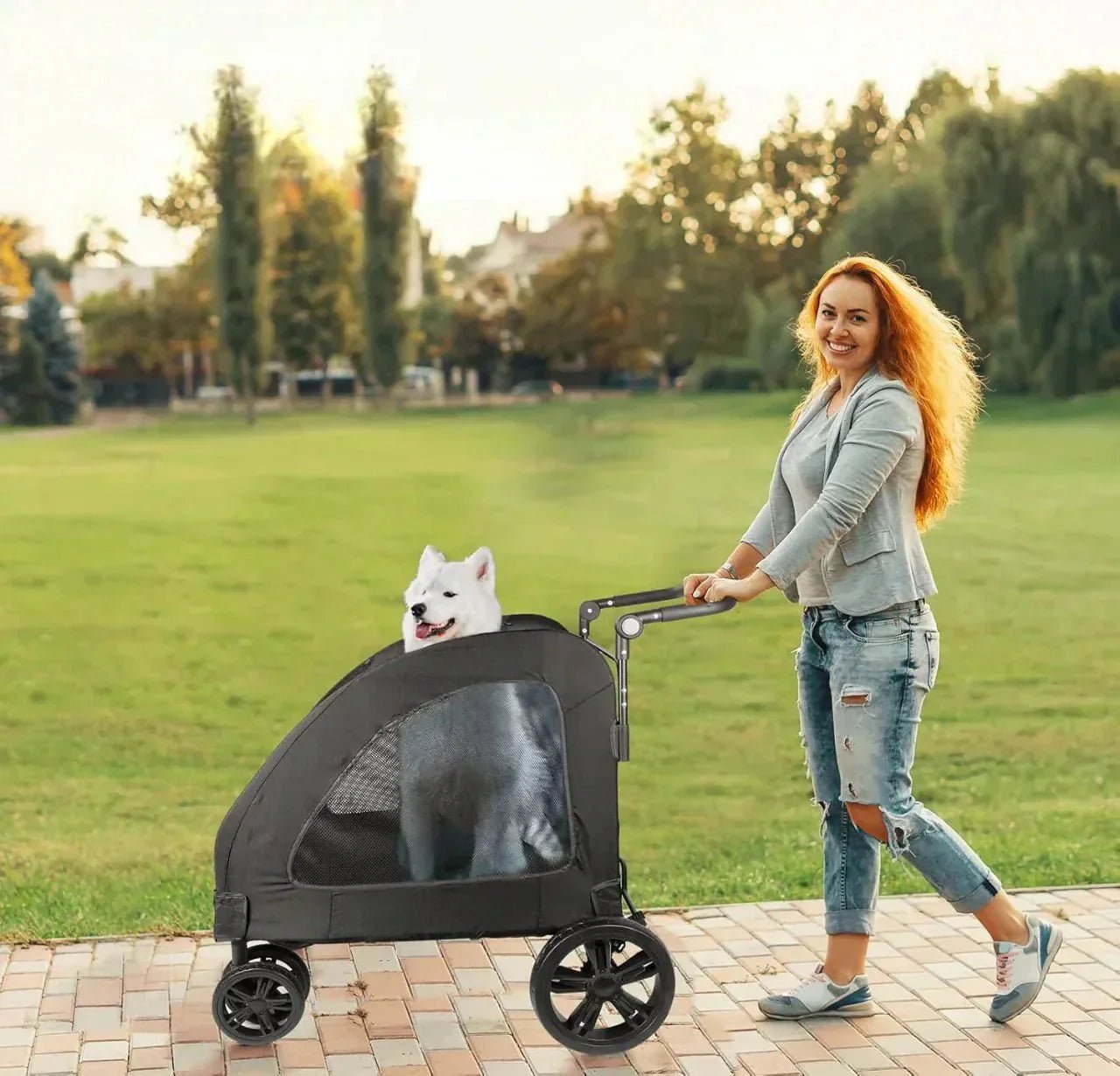 Poussette pour Chien - StrollyPet™ - Noir - Chien en vadrouille