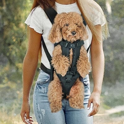 Sac à Dos pour Chien - PetCarrier™ - Noir - Chien en vadrouille