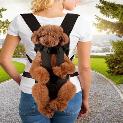 Sac à Dos pour Chien - PetCarrier™ - Noir - Chien en vadrouille