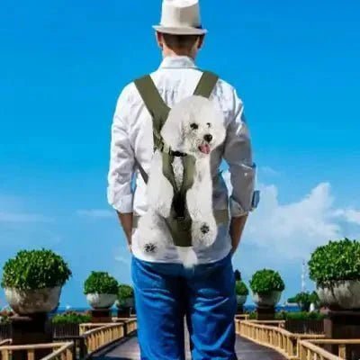 Sac à Dos pour Chien - PetCarrier™ - Vert - Chien en vadrouille