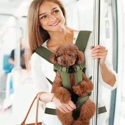 Sac à Dos pour Chien - PetCarrier™ - Vert - Chien en vadrouille