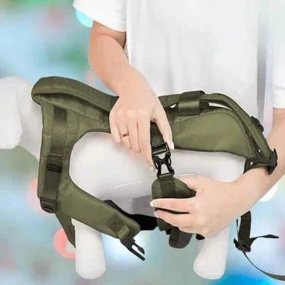 Sac à Dos pour Chien - PetCarrier™ - Vert - Chien en vadrouille