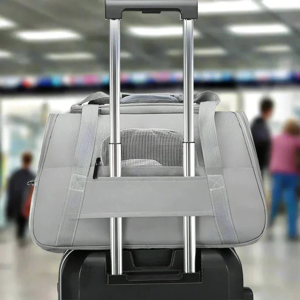 Sac de Transport pour Chien - DogCarrierBag™ - Gris - Chien en vadrouille