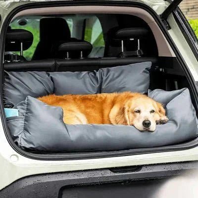 SIEGE AUTO POUR CHIEN - CarrierTravelDog™ - Gris - Chien en vadrouille