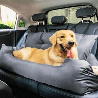 SIEGE AUTO POUR CHIEN - CarrierTravelDog™ - Gris - Chien en vadrouille